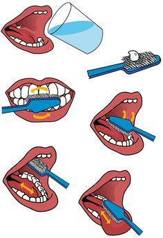 How To Brush Your Teeth, Dental Health Crafts, Sequencing Activities Kindergarten, Permainan Kerjasama Tim, Dental Health Activities, Hand Washing Poster, Teeth Brush, Body Parts Preschool, Brush Teeth