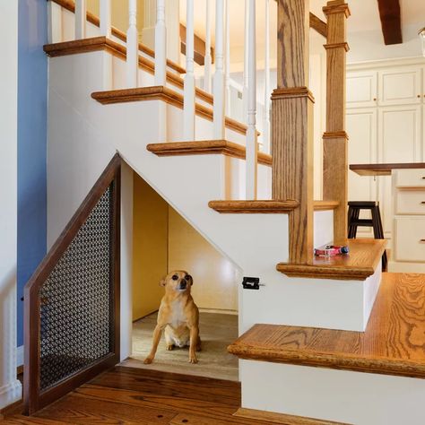 Dog House Inside, Under Stairs Dog House, Room Under Stairs, Stair Nook, Under Stairs Storage, Dog Bedroom, Indoor Dog House, Stairs Storage, Kitchen Addition