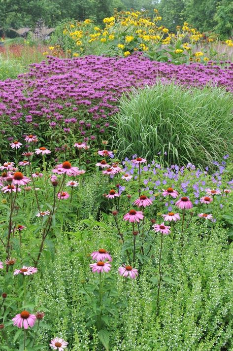 Meadowscaping Your Yard: 10 Inspiring Landscaping Ideas | American Meadows Outdoor Stone Steps, Clover Lawn, Dutch Gardens, Seeding Lawn, Grow Wildflowers, American Meadows, Lawn Alternatives, Side Yard Landscaping, Zone 10