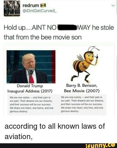 The Bee Movie, Memes Funny Hilarious, Laughing Funny, Bee Movie, Retro Humor, Humor Memes, The Bee, Really Funny Memes, Memes Funny