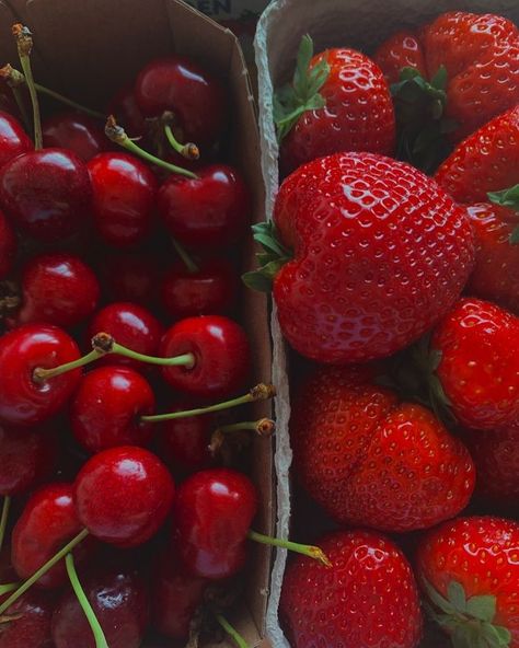 Serena Proietti 🍝 on Instagram: “Seasonal 🍒🍓” Fruits Summer, Cherry Season, Strawberry Desserts, Healthy Girl, Fruit And Veg, Farm Gardens, Summer Fruit, Color Of Life, Pretty Food