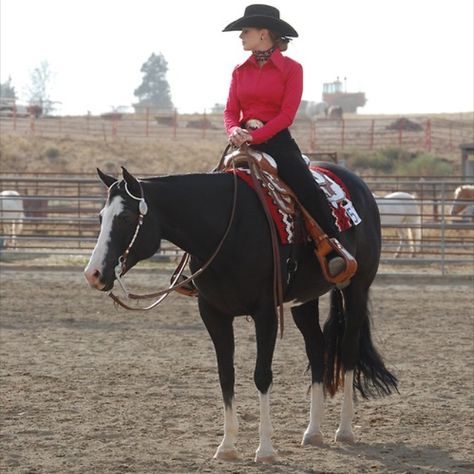 Show time Ranch Horse Show Clothes, Western Equestrian Outfits, Reining Show Outfit, Western Show Outfits, Western Horse Show Outfits, Reining Outfits, Horse Show Outfits, Western Pleasure Outfit, Show Outfits