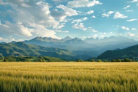 Field with mountains landscape outdoors horizon. | premium image by rawpixel.com Mountain Landscape Photography Horizontal, Field With Mountains, Horizon Landscape, Mountain Background, Landscape Horizontal, Type Shi, Mountains Landscape, Mountain Art, Natural Landscape