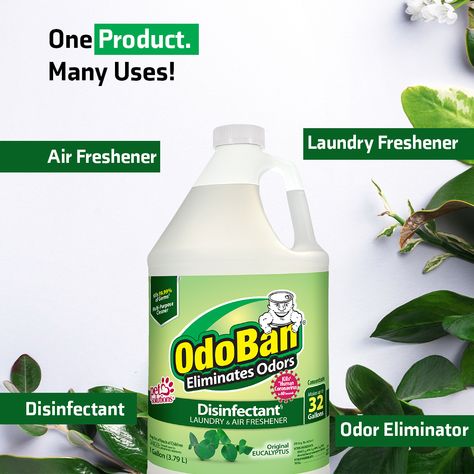 OdoBan® is a multi-surface cleaner, deodorizer, disinfectant and sanitizer with a variety of uses! #homedepot #summer #summertime #pets #odoreliminator #disinfectant #cleantok #cleaninghacks #cleaning #cleaningproducts #cleaningmotivation #cleaningtips #odoban #makelifefresh Cleaning Motivation, Odor Eliminator, Surface Cleaner, July 31, Air Freshener, Cleaning Hacks, Deodorant, Home Depot, On Instagram