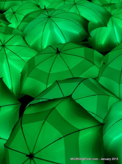 Green Umbrellas - Bridging the Gap | The Create Centre | by Myk Green Inspiration, Simple Green, Aesthetic Colors, Green Day, Green Wallpaper, World Of Color, Color Of Life, Green Aesthetic, Moss Green