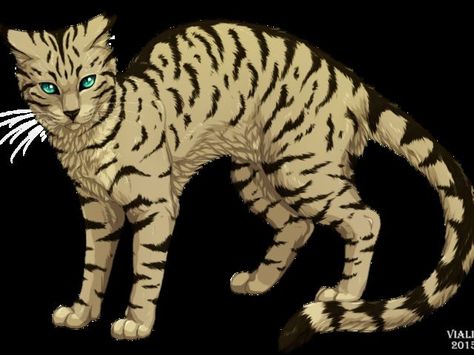 I got: Longtail! What ThunderClan Warrior Cat Are You? Long Tail Warrior Cats, Warrior Cats Longtail, Warrior Cats Quiz, Time Sketch, Cat Warriors, Warrior Cats Series, Warrior Cats Books, Warrior Cats Fan Art, Warriors Cats