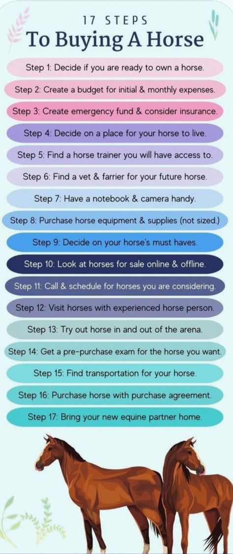 First Horse Checklist, Horse Riding Tips For Beginners, Horse Terminology, Taking Care Of Horses, Buying A Horse, Horse Education, Horse Age, Horse Riding Lessons, Owning A Horse