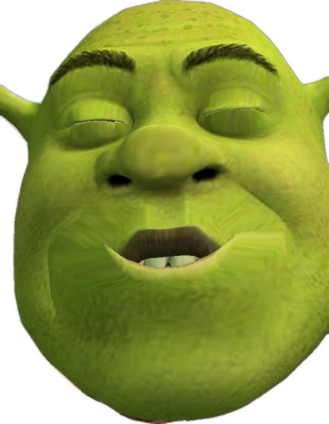 Shrek Kissing, Shrek, Kiss, Memes, Quick Saves