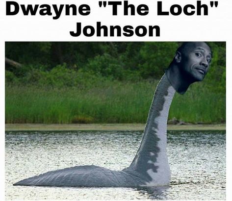 Dwayne Johnson Meme, Celebrity Puns, Dwayne The Rock Johnson, The Rock Johnson, Hee Man, Celebrity Memes, Hilarious Quotes, Rock Johnson, The Rock Dwayne Johnson