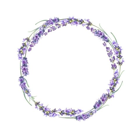 A coroa de flores de lavanda. | Premium Photo #Freepik #photo #lavanda #flor-lavanda #lavanda-aquarela #floral-lavanda Lavender Weddings, Sampul Notebook, Blue Drawings, Floral Logo Design, Floral Cards Design, Crochet Baby Shoes Pattern, Flower Graphic Design, Watercolor Vintage, Lavender Wreath