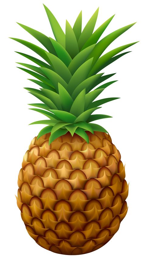 Pineapple Pictures, Cartoon Pineapple, Pineapple Clipart, Vegetable Crafts, Pineapple Vector, Pineapple Wallpaper, Diy Garden Fountains, Fruit Vector, Pineapple Images