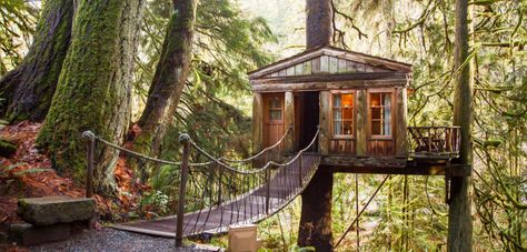 10 Washington State treehouse rentals perfect for a weekend getaway - Curbed Seattle Tree House Hotel, Treehouse Vacations, Communal Bath, Nature Houses, Treehouse Airbnb, Treehouse Point, Library Hotel, Copper House, Treehouse Hotel