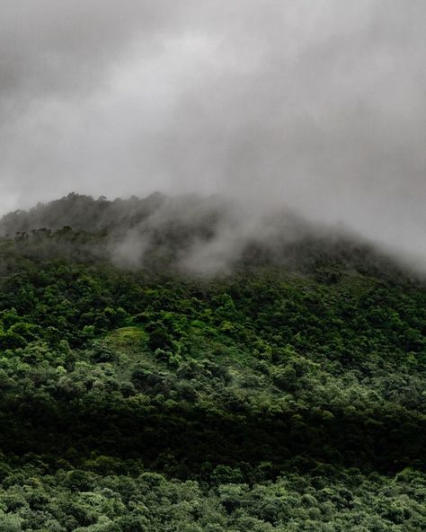 raj (•_•) ( •_•)>⌐■-■ (⌐■_■) on Instagram: “Watching the rain   #nature #rain #clouds #timelapse #sony #alpha #sonyalphain #mirrorless #24-70gm #veiws #window #happyplace #chill…” Watching The Rain, Nature Rain, Rain Clouds, Sony Alpha, The Rain, Happy Places, Natural Landmarks, Photo And Video, On Instagram