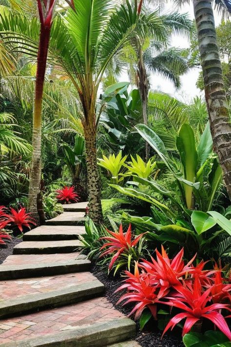 10 Best Shade Plants In Florida Lanai Plants Florida, Plants In Florida, Best Shade Plants, Best Plants For Shade, Fern Images, Lily Images, Taro Plant, Florida Landscaping, Garden Nook