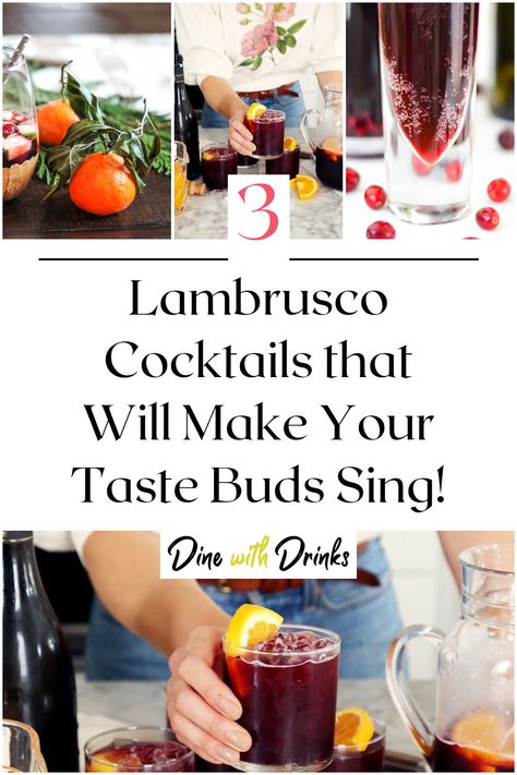 Collage of 4 lambrusco cocktails. Lambrusco Cocktail, Pom Wonderful, Rose Cocktail, Boozy Brunch, Cocktail Ideas, Healthy Hydration, Alcohol Drink Recipes, Refreshing Cocktails, Food App