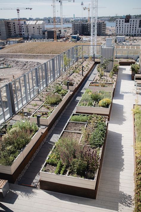 Roof Garden Architecture, Rooftop Planters, Courtyard Landscaping, Green Facade, Perspective Drawing Architecture, Rooftop Design, Urban Agriculture, Garden Architecture, Traditional Garden