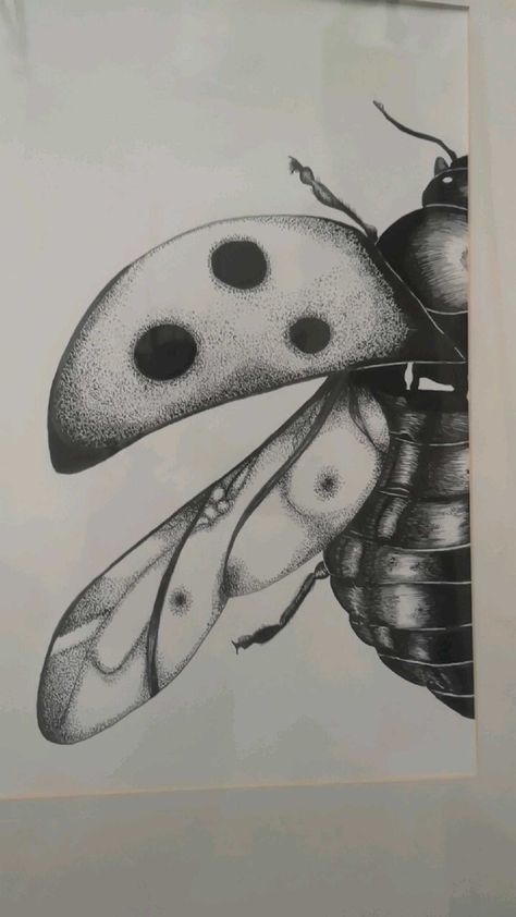 Ladybug Wings Drawing, Gcse Art Sketchbook Insects, Bugs To Draw, Ladybird Drawing, Insect Drawings, Simbols Tattoo, Insect Drawing, Insects Art, Bugs Drawing