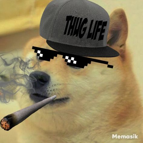 Thug life Aunt Meme, Thug Aesthetic, Thug Life Meme, Thug Life, Anime Character Design, Anime Character, Funny Memes, Character Design, Collage