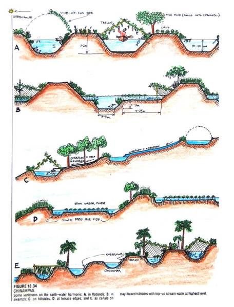 water harvest Plan Potager Permaculture, Water Catchment, Water From Air, Permaculture Design, Permaculture Gardening, Water Collection, Rainwater Harvesting, Forest Garden, Water Retention