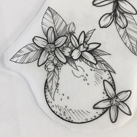 Clementine Blossom Tattoo, Orange Plant Tattoo, Orange Blossom Tattoo Simple, Orange Tattoo Black And White, Orange Blossom Drawing, Abuelo Tattoo, Orange Blossom Tattoo, Blossoms Tattoo, Florida Tattoo