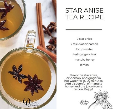 Anise Tea, Star Anise Tea, Herb Life, Health Posters, Cocoa Drink, Ginger Slice, Detox Juice Recipes, Healing Recipes, Cocoa Chocolate