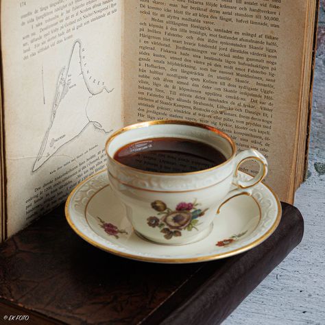 Old books, coffee cup Coffee In Teacup, Bg3 Character, Silly Friends, Ffxiv Character, Photo Cup, Vintage Coffee Cups, Books Coffee, Draw Ideas, Book Flowers