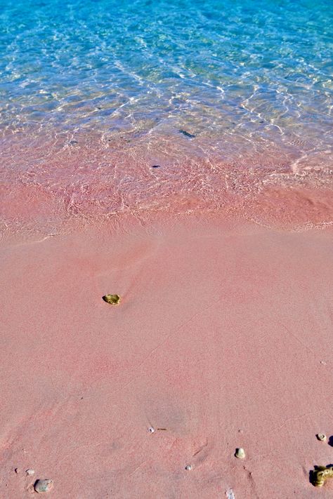 Labuan Bajo Indonesia 2022 :: Behance Labuan Bajo, Komodo Dragon, Labuan, Pink Beach, Fields Photography, Beautiful Sunset, Beautiful Views, Jakarta, Indonesia