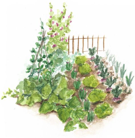 Herb Garden Drawing, Vegetable Garden Watercolor, Vegetable Garden Painting, Circular Diagram, Watercolor Course, Watercolour Garden, Inktober Inspiration, Water Color Markers, Drawing Notebook