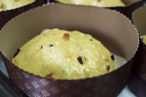 Panettone Recipe, Christmas Recipes For Kids, Dessert Mini, Gateaux Cake, Mini Desserts, Christmas Baking, Cooking Time, Kids Meals, Christmas Food