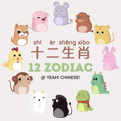 YEAH! CHINESE! on Instagram: “⁣ 🐁🐂🐅🐇🐍🐎🐐🐒🐓🐕🐖⁣ ✨ shí èr shēng xiào⁣ ✨ 十二生肖⁣ ✨ 12 Zodiac Animals⁣ ⁣ 🔸nǐ shǔ shén me⁣ 🔸你属什么？⁣ 🔸What’s your zodiac animal? ⁣ ⁣⁣⁣⁣ ⁣ Tutorial…” Chinese Zodiac Cartoon, The Chinese Zodiac, Bilingual Flashcards, 12 Zodiac Animals, Chinese Flashcards, Animal Tutorial, Zodiac Animals, 12 Zodiac, Chinese Zodiac