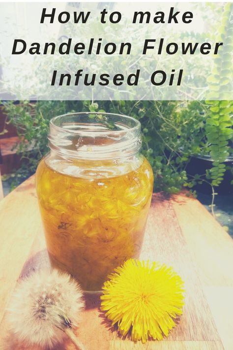 Dandelion Infused Oil, Flower Infused Oil, Infused Oil Recipes, Dandelion Salve, Dandelion Oil, Diy Herbal Remedies, Salve Recipes, Diy Beauty Treatments, Infused Oil