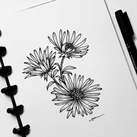 Astra Flower Tattoo, Aster Flower Tattoo Stencil, Aster Tattoo Flower, Aster Line Drawing, September Birth Flower Drawing, Aster Flower Outline, September Birth Flower Tattoo Ideas, Aster Flower Tattoo Design, Aster Tattoo Design