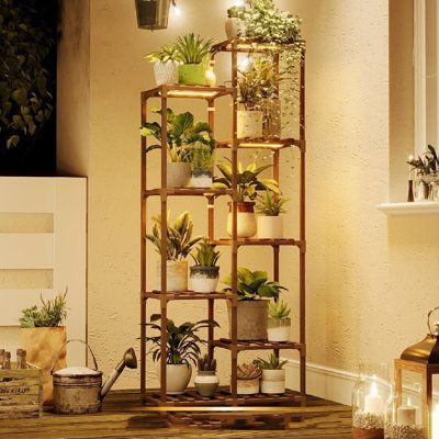 Tall plant stand indoor