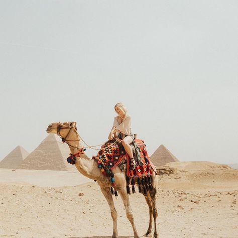 1,692 Me gusta, 35 comentarios - S H E E B 🌻 (@shelbypine) en Instagram: "meanwhile in BFE 🐫  Thank you Ramasside Tours for keeping me safe and giving me the best experience…" Egypt Resorts, Travel Egypt, Egypt Culture, Egypt Fashion, The Pyramids, Visit Egypt, Egypt Travel, Love Travel, Girls Love