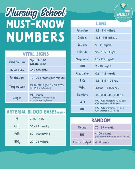 Cna Essentials, Respitory Therapist, Vital Signs Nursing, Lpn School, Nursing School Pharmacology, Nurse Bae, Nursing School Studying Cheat Sheets, Nurse Skills, Nurse Tips