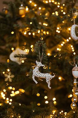 Stocksy United – Premium, royalty-free stock photography and cinematography Christmas Tree Close Up, Christmas Tree Photography, Christmas Tree Toys, Luxury Christmas Tree, Wallpaper Stores, Christmas Tree Toy, Xmas Card, Iphone Wallpaper Vintage, Quiet Luxury