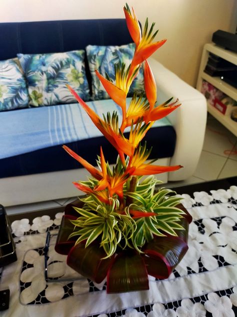 Ginger Plant Flower, Heliconia Arrangement, Tropical Floral Arrangements, Tropical Flower Arrangements, Church Flower Arrangements, Flower Arrangements Simple, Church Flowers, Fresh Flowers Arrangements, House Plants Decor