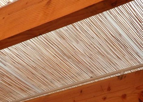 It's all about the details! The beauty of PolyBamboo is all in the unique features of polycarbonate X refined bamboo. Providing durability, ease, UV protection, and let's not forget a stunning design both outdoors and in. Get yours today! #getpolybamboo #interiordesign #exteriordesign #architecture #architecturelovers #bamboo #building #nature #natural #homedesign #diy #homedecor #bamboo #polibambu Polycarbonate Roof, Bamboo Building, Bamboo Panels, The Details, Exterior Design, Outdoor Spaces, Uv Protection, Roof, Indoor Outdoor