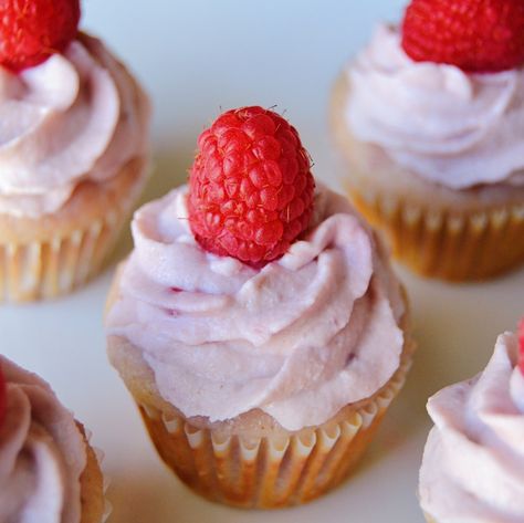 Raspberry Dog Treats, Cupcakes For Dogs Recipe, Pup Cakes, Raspberry Cream Cheese Frosting, Raspberry Cream Cheese, Dog Cake Recipes, Pet Treats Recipes, Easy Dog Treat Recipes, Dog Treats Homemade Easy