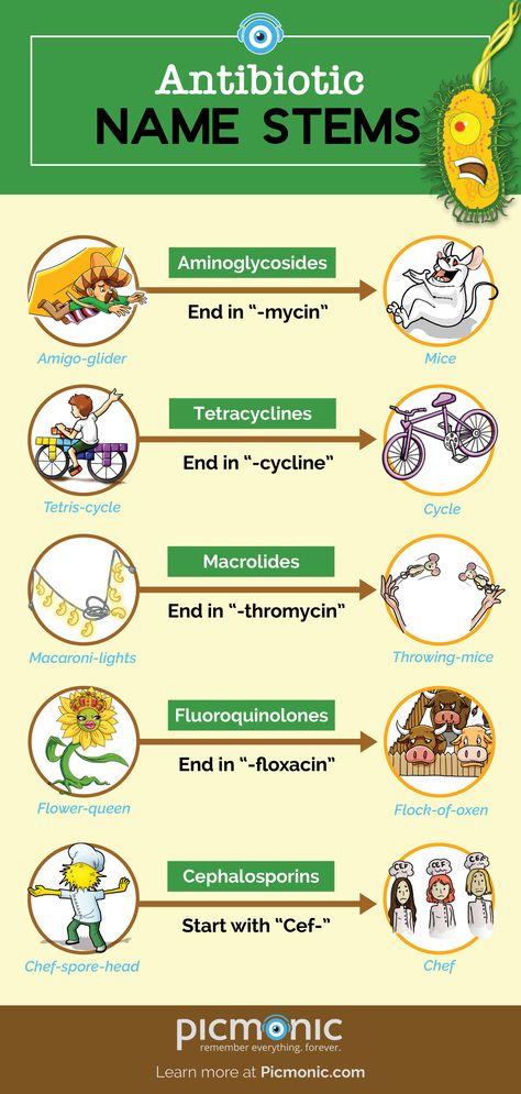 What's in a name? For antibiotics it's mice, cycles, oxen and chefs! Who knew? #mnemonic #picmonic #abx #antibiotics #infographic #drugs #pharm #nursiningschool #nclex Pharmacology Mnemonics, Infographic Ideas, Medicine Notes, Nursing Mnemonics, Pharmacy School, Pharmacology Nursing, Nursing School Survival, Nursing School Studying, Nursing School Tips