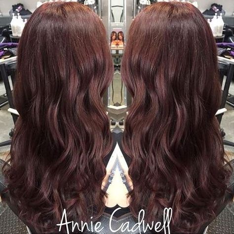 dark+purple+red+hair Auburn Hair Dye, Auburn Hair Color Ideas, Dark Purple Hair Color, Auburn Hair Color, Light Auburn Hair, The Right Hairstyles, Dark Purple Hair, Hair Color Auburn, Beautiful Hair Color