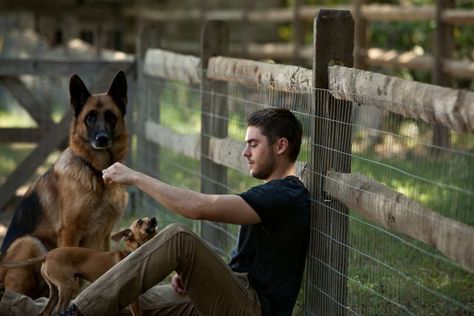 Movie Still from The Lucky One The Lucky One Movie, Zach Efron, Nicholas Sparks Movies, Shepard Dog, Dog Died, 13 Reasons Why, Dog Bakery, German Shepards, Fox Terriers