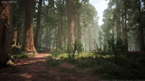 Sequoia Forest, Dead Forest, Forest Games, Giant Sequoia, Redwood Trees, Outside Lands, Anime Places, Outdoor Aesthetic, Redwood Tree