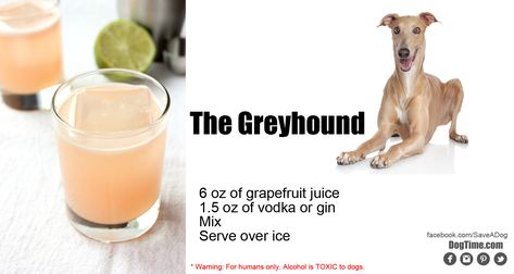 10 Dog-Inspired Cocktails For Your Holiday Party | Dogtime Animal Themed Cocktails, Pet Inspired Cocktails, Dog Inspired Wedding Cocktails, Hair Of The Dog Drinks, Dog Inspired Cocktails, Salty Dog Cocktail Recipe, Greyhound Cocktail, Salty Dog, Grapefruit Juice