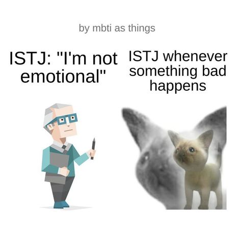 Istj Aesthetic Pictures, Istj Personality Memes, Istj Mbti, Mbti Istj, Istj Personality, Infp Personality Type, Intp T, Infj Mbti, Mbti Types