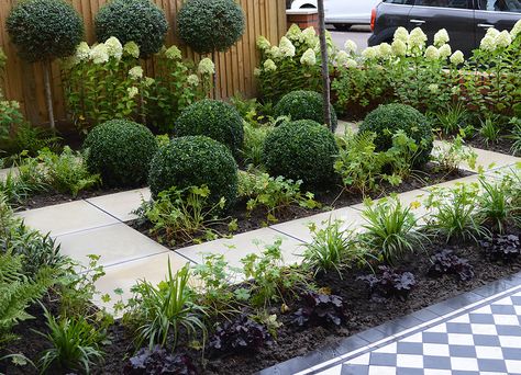 A smart but relaxed, semi-formal garden with a simple palette, mostly white and green with a few red Hellebores to warm up the winter. Semi Formal Garden, Stone Landscape, Urban Garden Design, Front Gardens, Kingston Upon Thames, Victorian Tiles, Formal Garden, Formal Gardens, Garden Designs