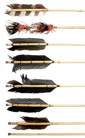 Arrow Fletching, Archery Shop, Hawk Feathers, Archery Gear, Arts And Science, Archery Supplies, Arrow Feather, Primitive Survival, Traditional Bow