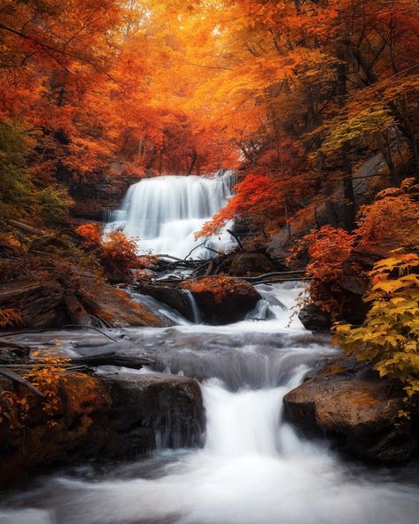 Decew Falls in Hamilton Ontario doesn't get enough credit for its beauty. [3600x5400] [OC] IG:sakithran… | Waterfall photography, Autumn landscape, Beautiful nature Autumn Waterfalls, Forest Waterfall, Hamilton Ontario, Waterfall Photography, Autumn Scenes, Airbrush Art, Autumn Scenery, Beautiful Places Nature, Fall Pictures