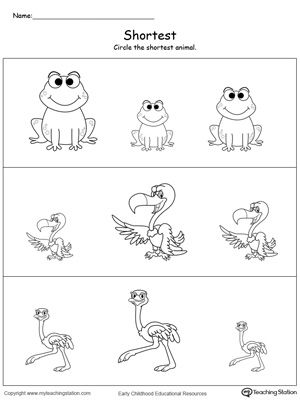 **FREE** Shortest Length Worksheet.Teach the concept of length (long and short) to your preschooler with this printable size worksheet. Short Shorter Shortest Worksheet, Length Worksheet, Kertas Kerja Prasekolah, Fun Worksheets For Kids, Preschool Math Worksheets, Free Preschool Worksheets, Alphabet Worksheets Preschool, Printable Preschool Worksheets, Preschool Writing