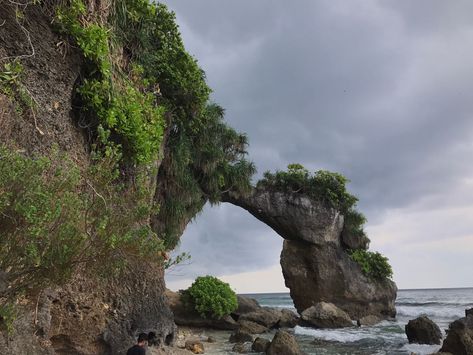 Natural Bridge, Neil Islands , Andaman & Nicobar Islands Andaman Nicobar Islands, Andaman Nicobar, Port Blair, Andaman Islands, Andaman And Nicobar Islands, Natural Bridge, Photo Tree, Rock Formations, Scuba Diving